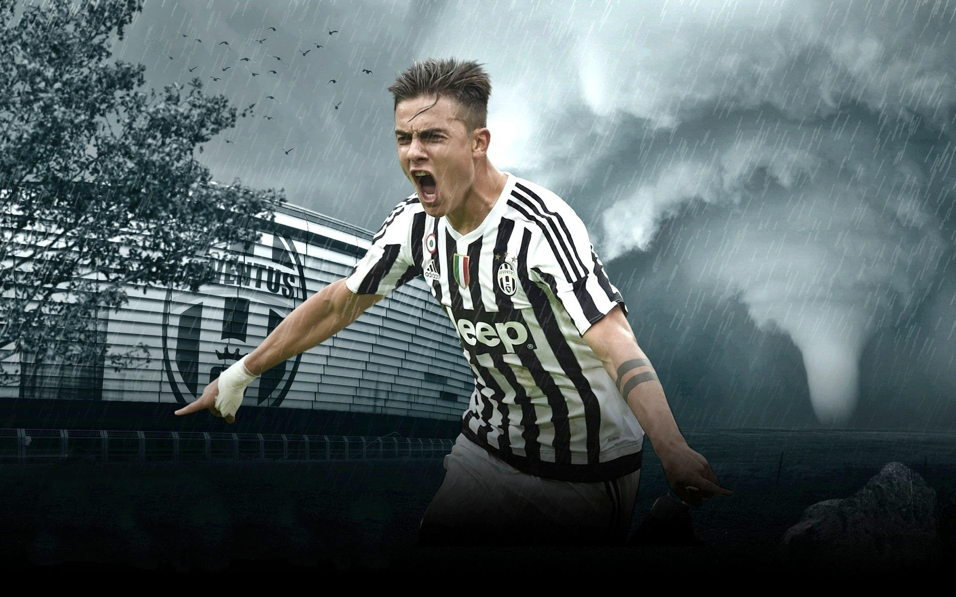 德甲综合：斯图加特逆转法兰克福 汉堡与“药厂